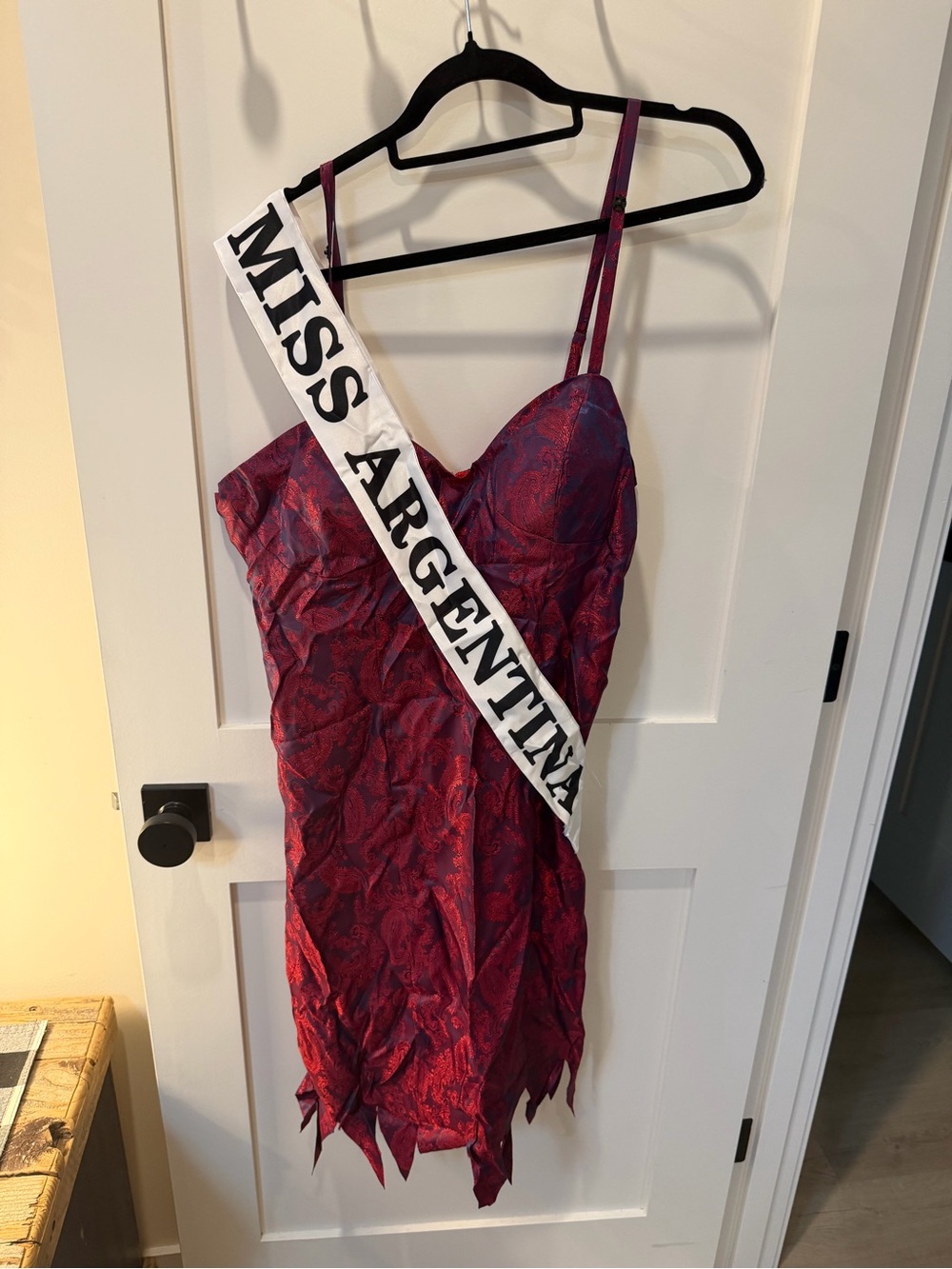Women's Spaghetti-Strap Dress in Burgundy -Beetlejuice Miss Argentina Costume